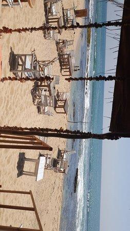 Sandy's Seafood Restaurant