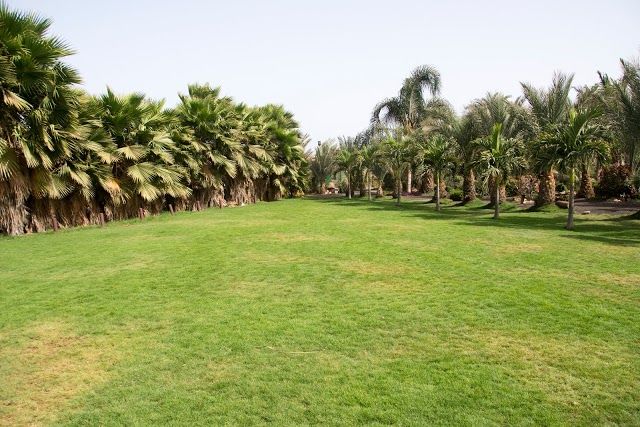 Zoo i ogród botaniczny w Viveiro