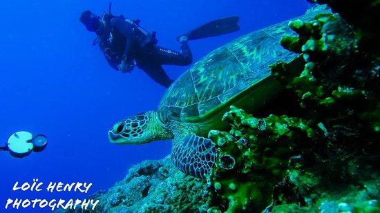 Ticabo Diving Centre