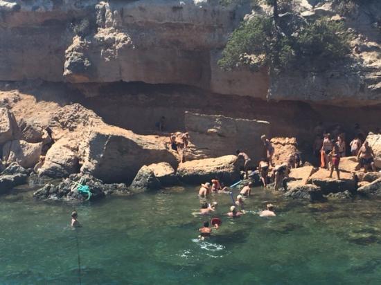 Mermaid Boat Trips