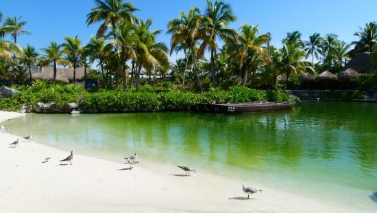 Ośrodek ekologiczny w Akumal