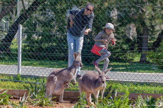 Zoo w Pafos