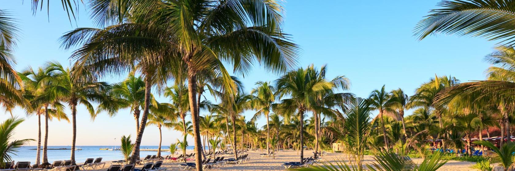 Klub plażowy Kool Beach Club